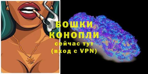 гашиш Богданович
