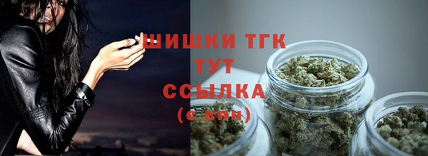 гашиш Богданович