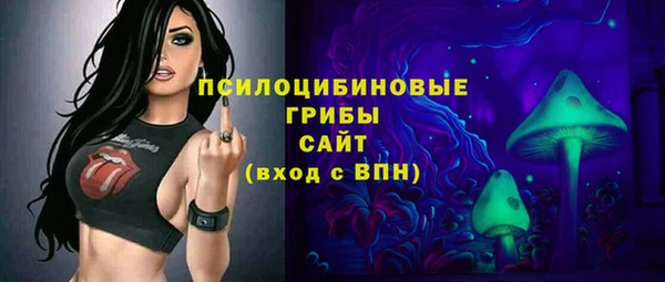 apvp Богородск