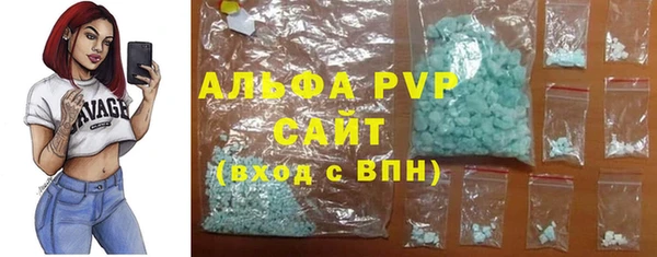 гашиш Богданович