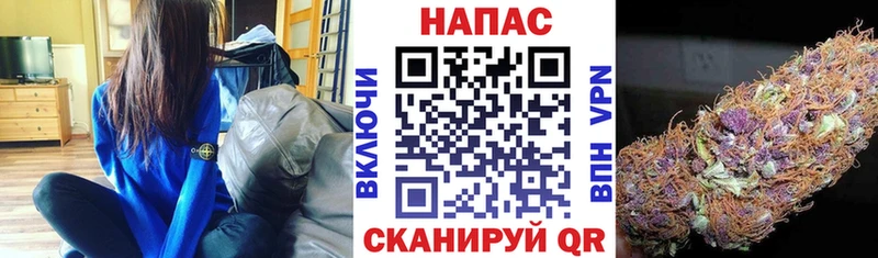 Купить где  Гаврилов-Ям  Канабис план 